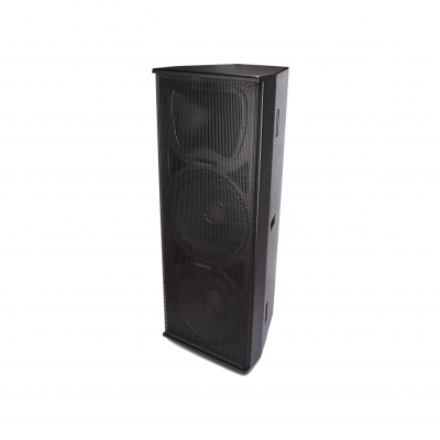 DM Series Professional Speakers